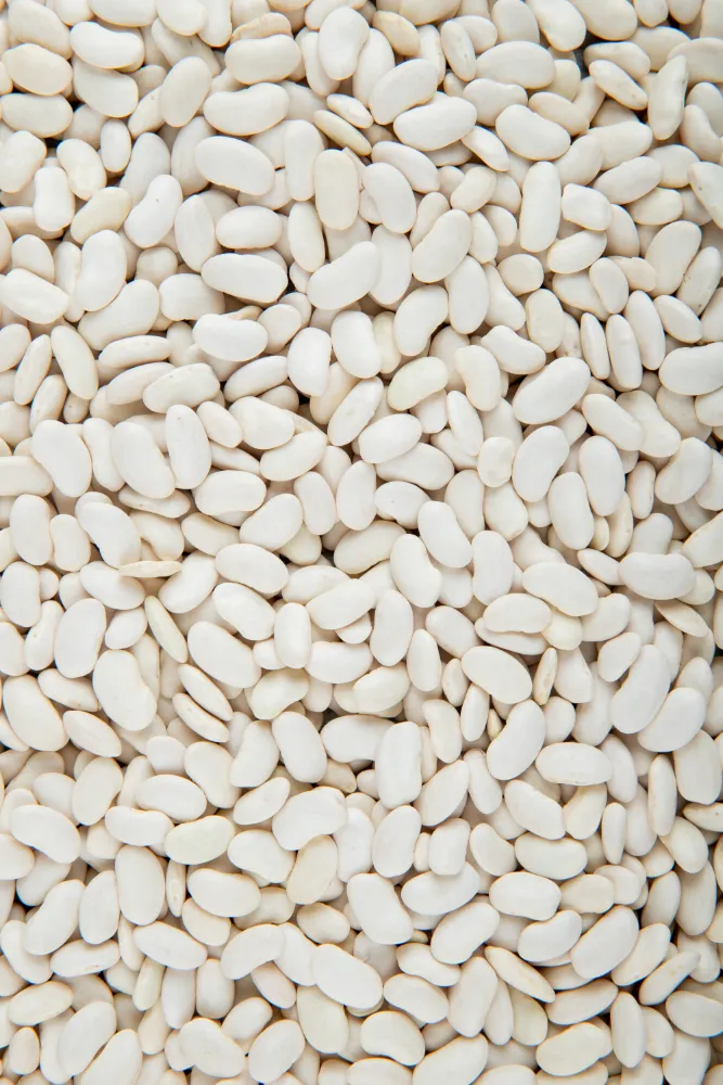White Beans
