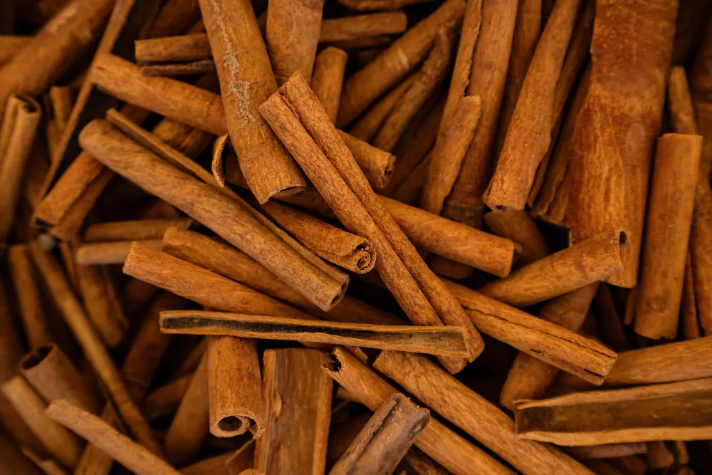 Cinnamon Stick